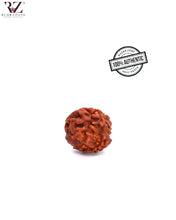 Load image into Gallery viewer, 1 Mukhi Himalayan Rudraksha (18-19mm)
