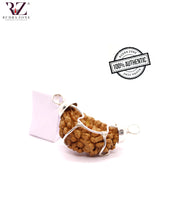 Load image into Gallery viewer, 1 Mukhi Kaju Shaped Rudraksha (with Silver)
