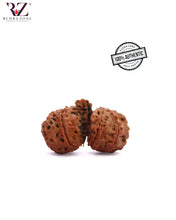 Load image into Gallery viewer, Trijuti Rudraksha From Nepal
