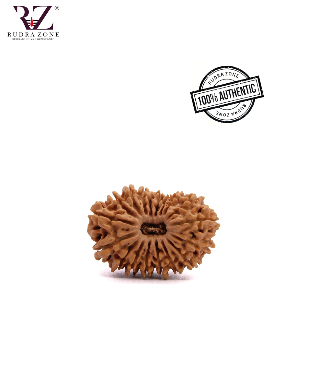 18 Mukhi Nepal Rudraksha