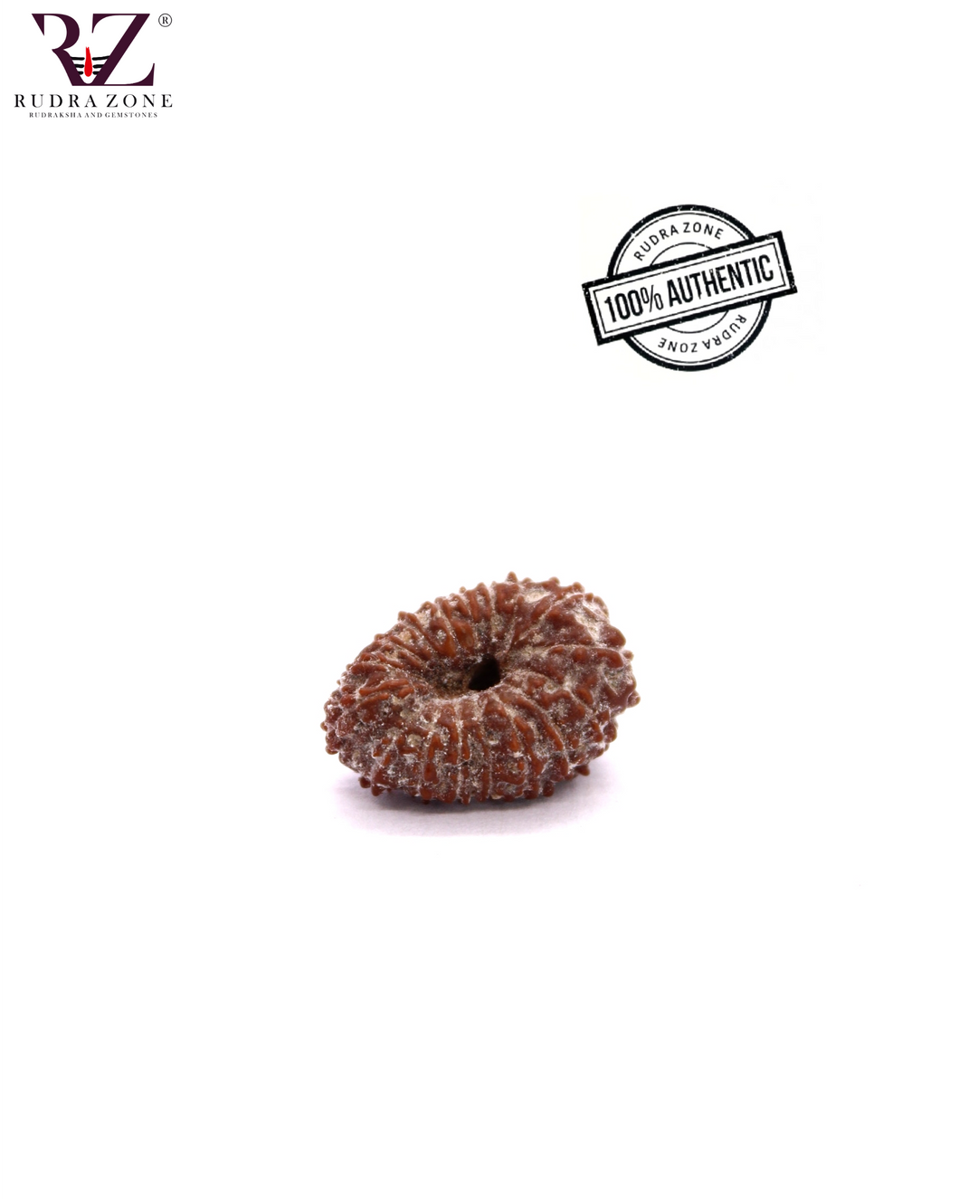 17 Mukhi Indonesia Rudraksha (21mm)