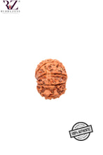 Load image into Gallery viewer, 9 Mukhi Nepal Rudraskha (20-22mm)
