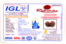 Load image into Gallery viewer, Gauri Shankar Rudraksha
